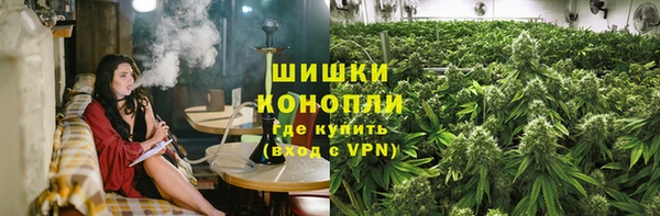 PSILOCYBIN Абинск