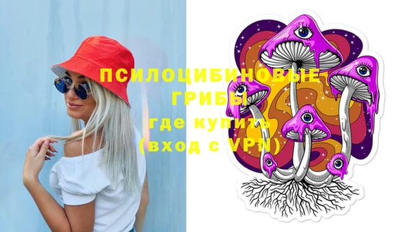 PSILOCYBIN Абинск